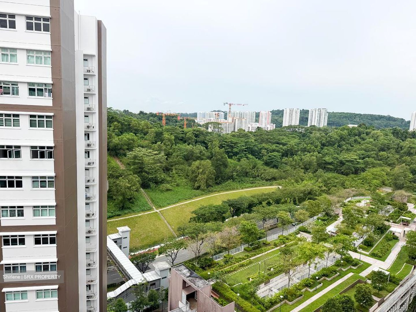 Blk 451B West Terra @ Bukit Batok (Bukit Batok), HDB 5 Rooms #500660541